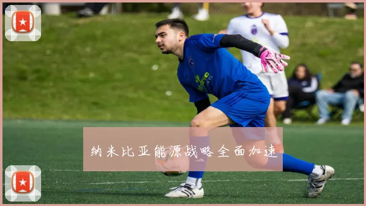 纳米比亚能源战略全面加速