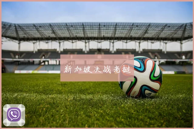 新加坡决战老挝