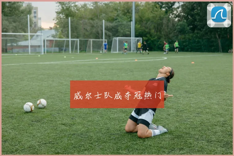 威尔士队成夺冠热门