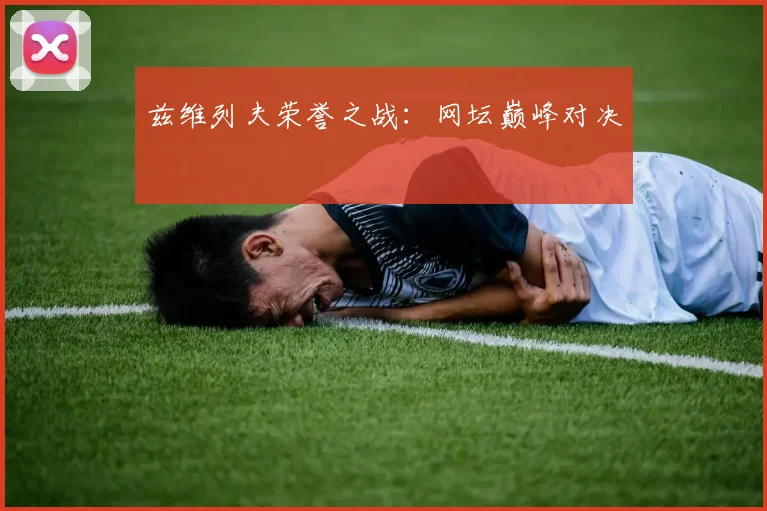 兹维列夫荣誉之战：网坛巅峰对决
