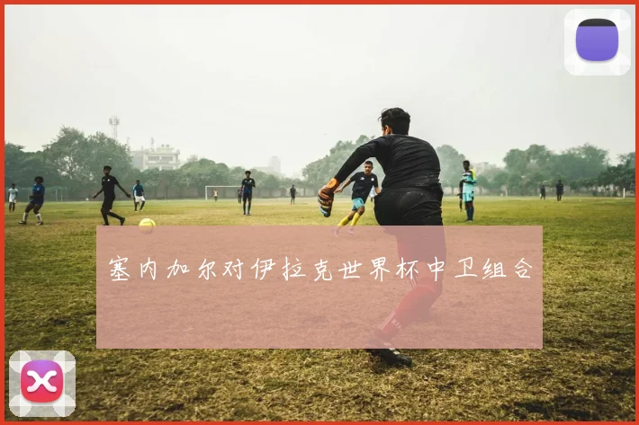 塞内加尔对伊拉克世界杯中卫组合