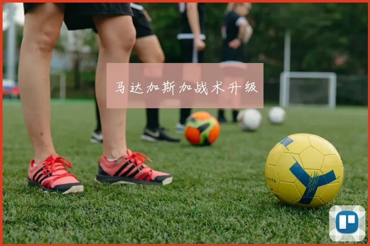 马达加斯加战术升级
