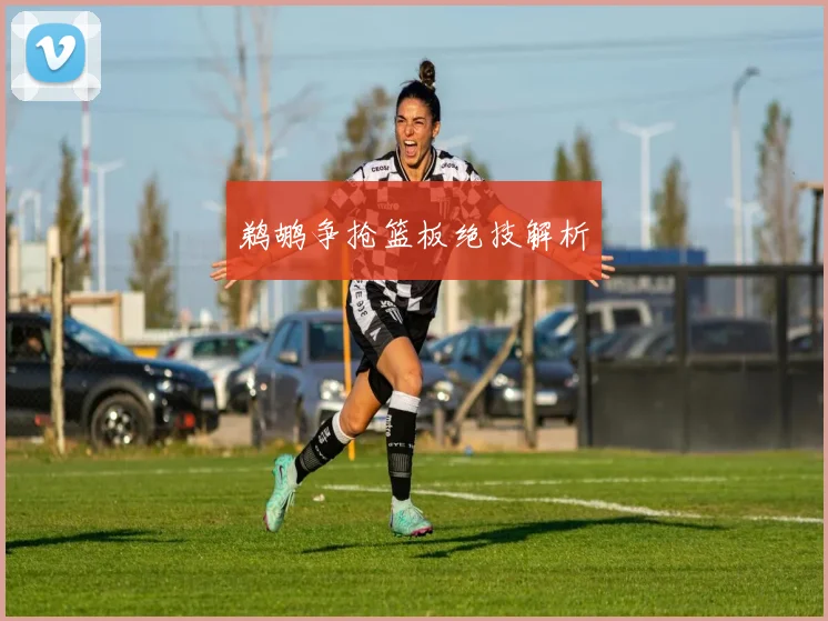 鹈鹕争抢篮板绝技解析