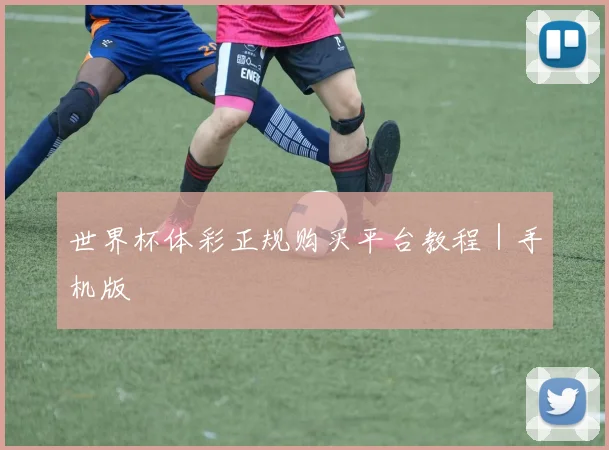 世界杯体彩正规购买平台教程｜手机版