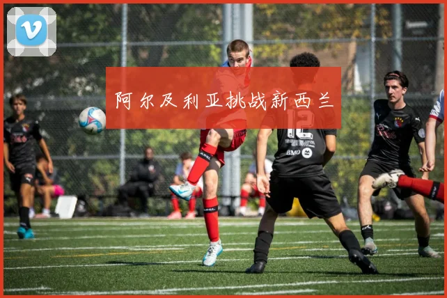 阿尔及利亚挑战新西兰