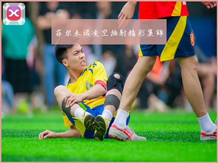 菲尔米诺凌空抽射精彩集锦