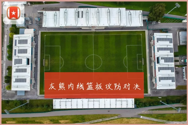 灰熊内线篮板攻防对决