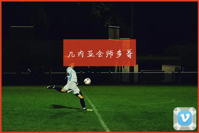几内亚会师多哥