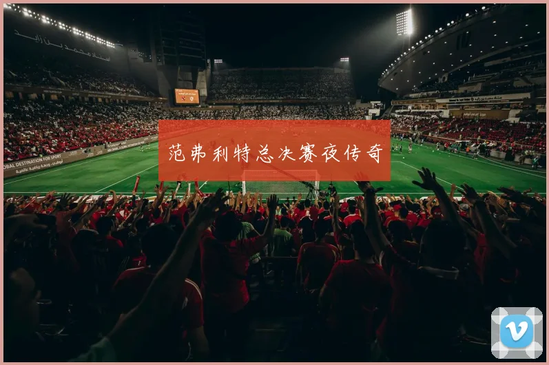 范弗利特总决赛夜传奇