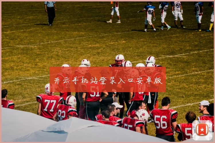 开云手机站登录入口安卓版