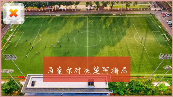 马奎尔对决楚阿梅尼