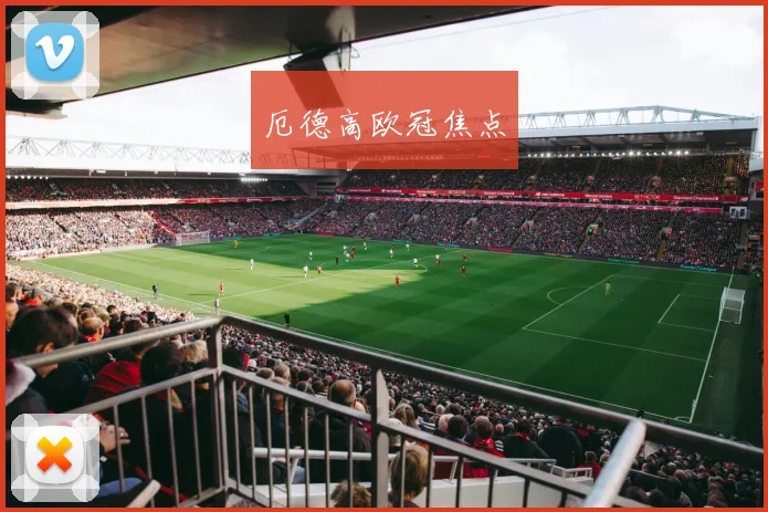 厄德高欧冠焦点