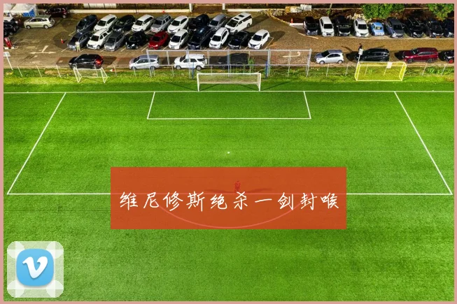 维尼修斯绝杀一剑封喉