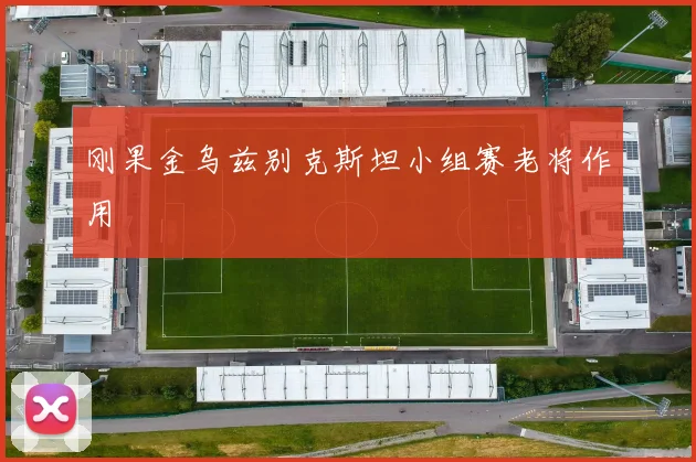 刚果金乌兹别克斯坦小组赛老将作用