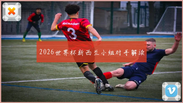 2026世界杯新西兰小组对手解读