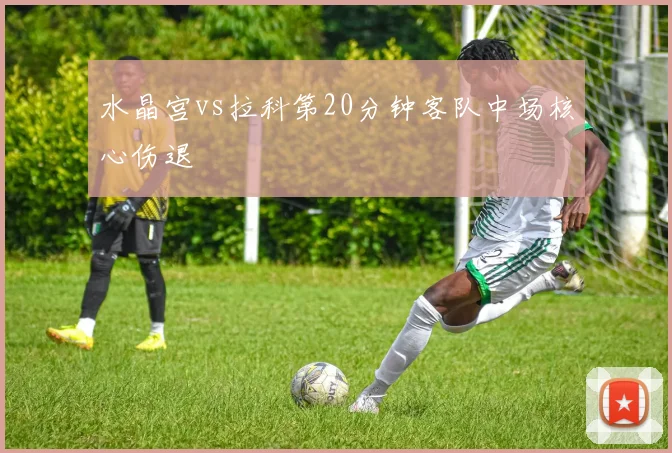 水晶宫vs拉科第20分钟客队中场核心伤退